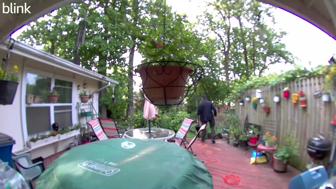 SOUTH_VIDEO_DOOR_BELL_2023-05-22T11_14_03-0400.mp4