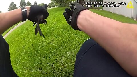 Police Officer Helps Bird Tangled In String To Freedom