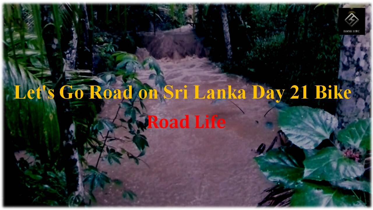 Let's Go Road on Sri Lanka Day