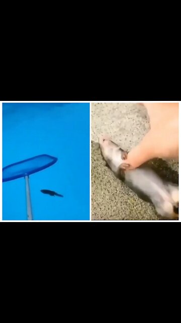 Did anyone else cry...?