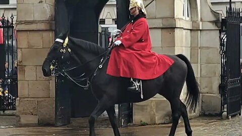 The kings life guard mounted horse back red Coats #horseguardsparade