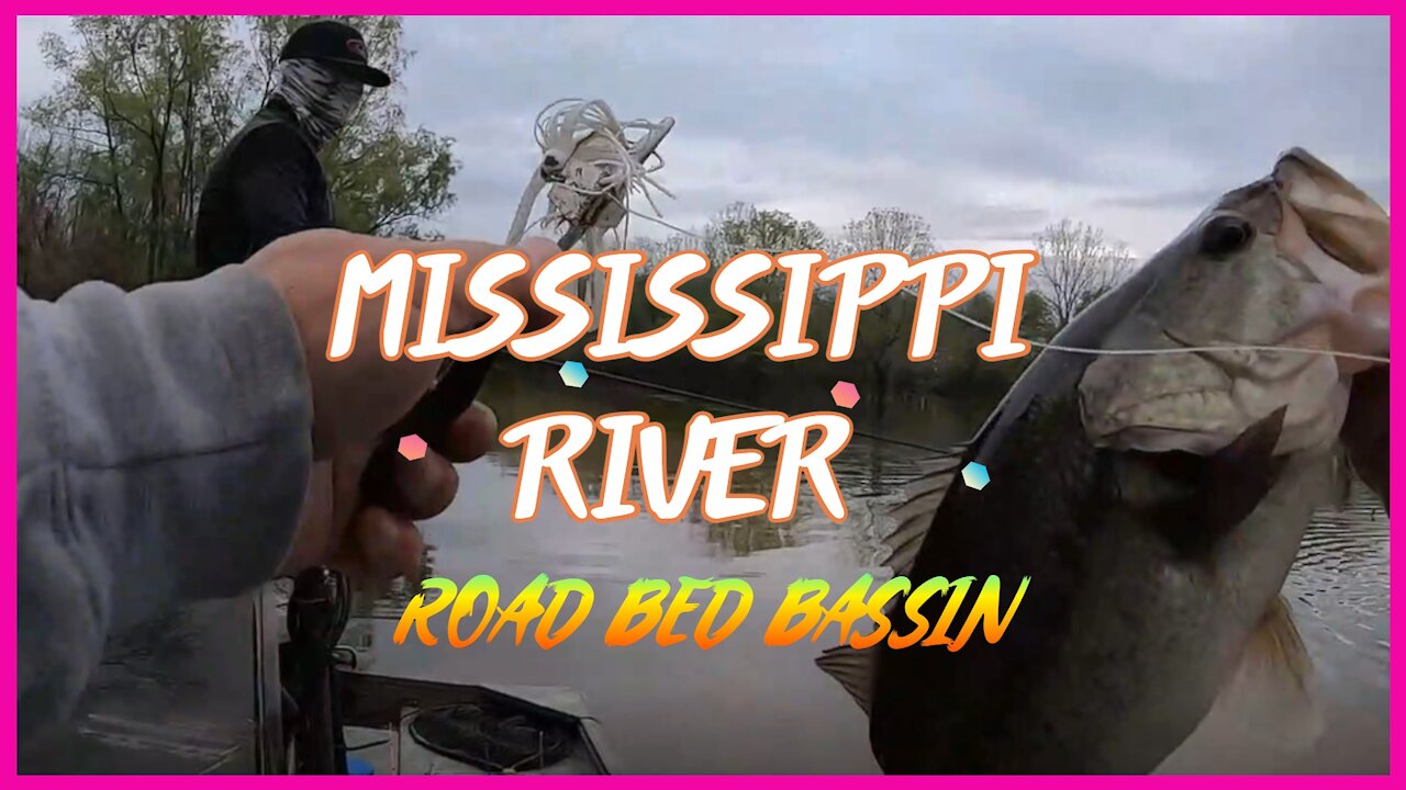 Mississippi River Road Bed Bassin!