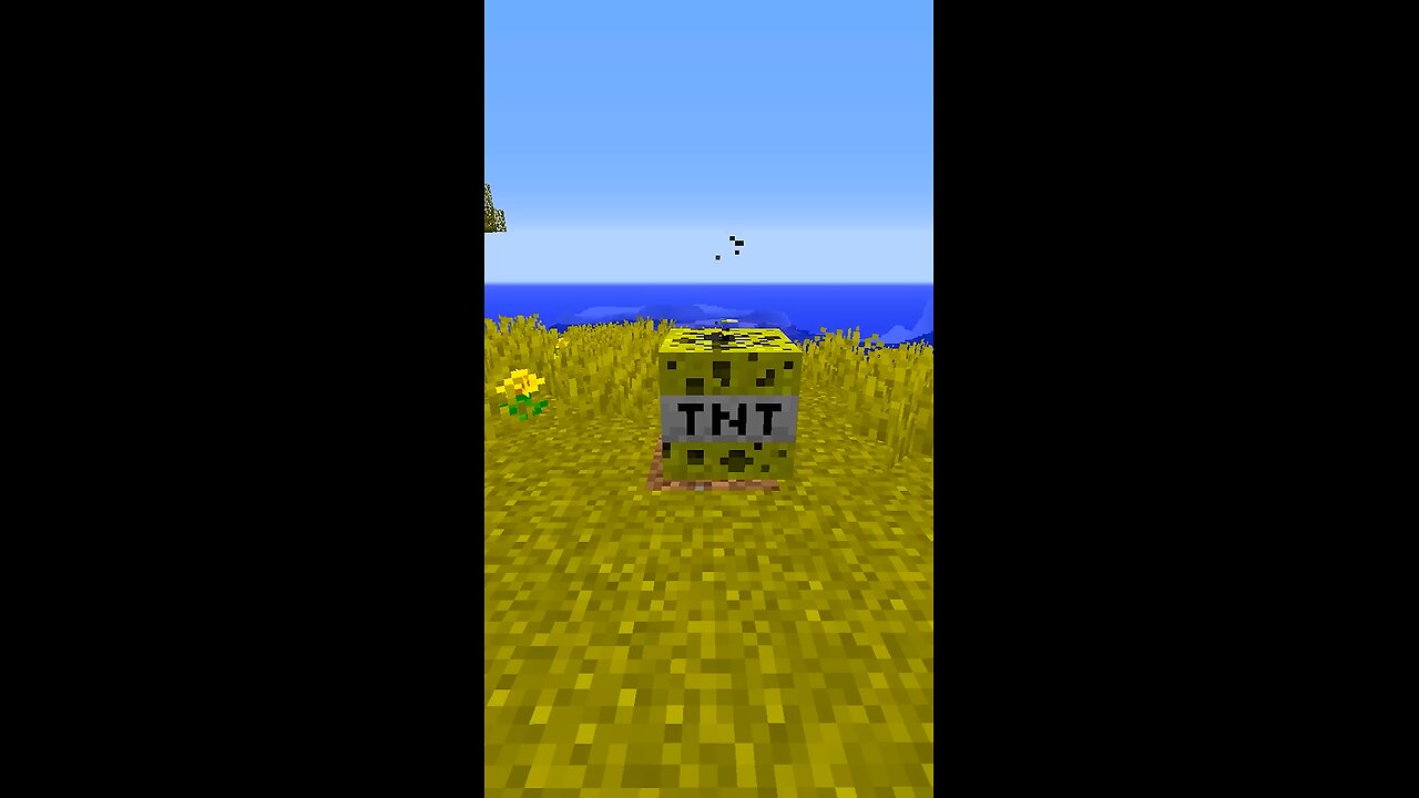 Unusual TNT Explosions in Minecraft #shorts