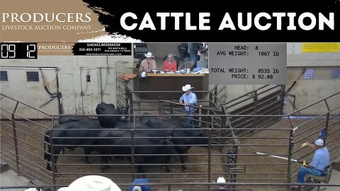 8/17/2023 - Producers Livestock Auction Company Cattle Auction