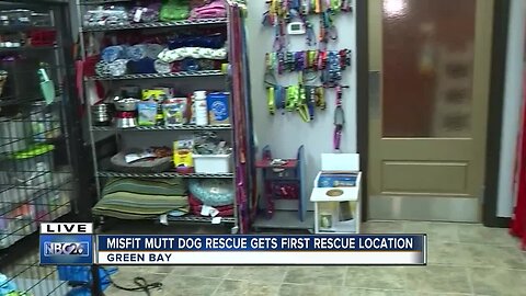 Misfit mutts dog rescue new building brings new opportunities