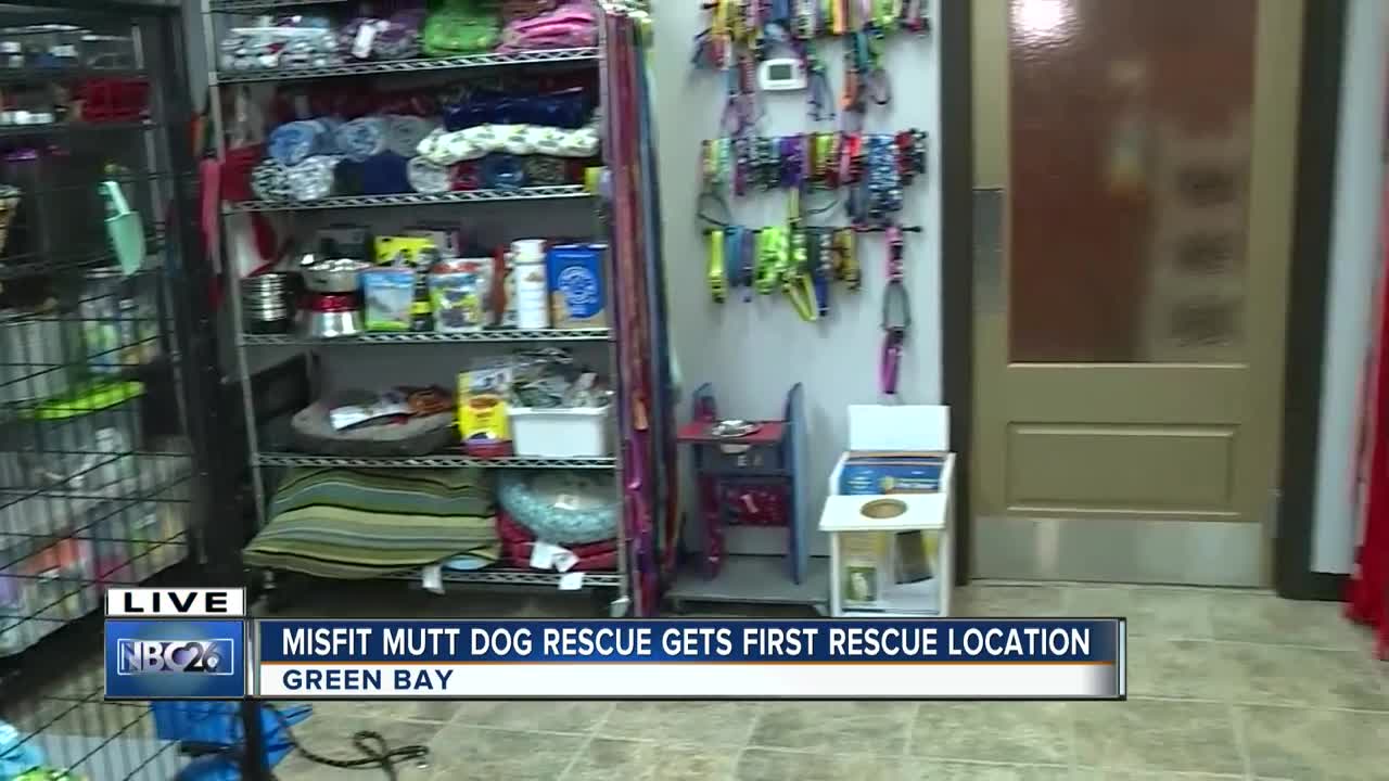 Misfit mutts dog rescue new building brings new opportunities