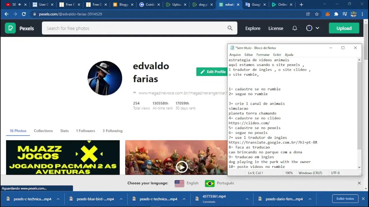 estrategia de videos animais 2