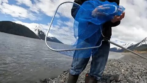 2 $ 3 Days Camping in Alaska & Eating What We Catch Shrimp, Rock Fishing and Halibut Catch & Cook