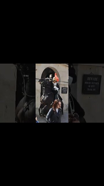Horse spooked by bikes 🏍 #horseguardsparade