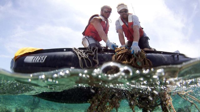 The Great Pacific Garbage Patch Has Even More Garbage Than We Thought