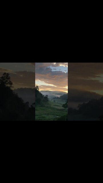 Exquisite morning 🇦🇺