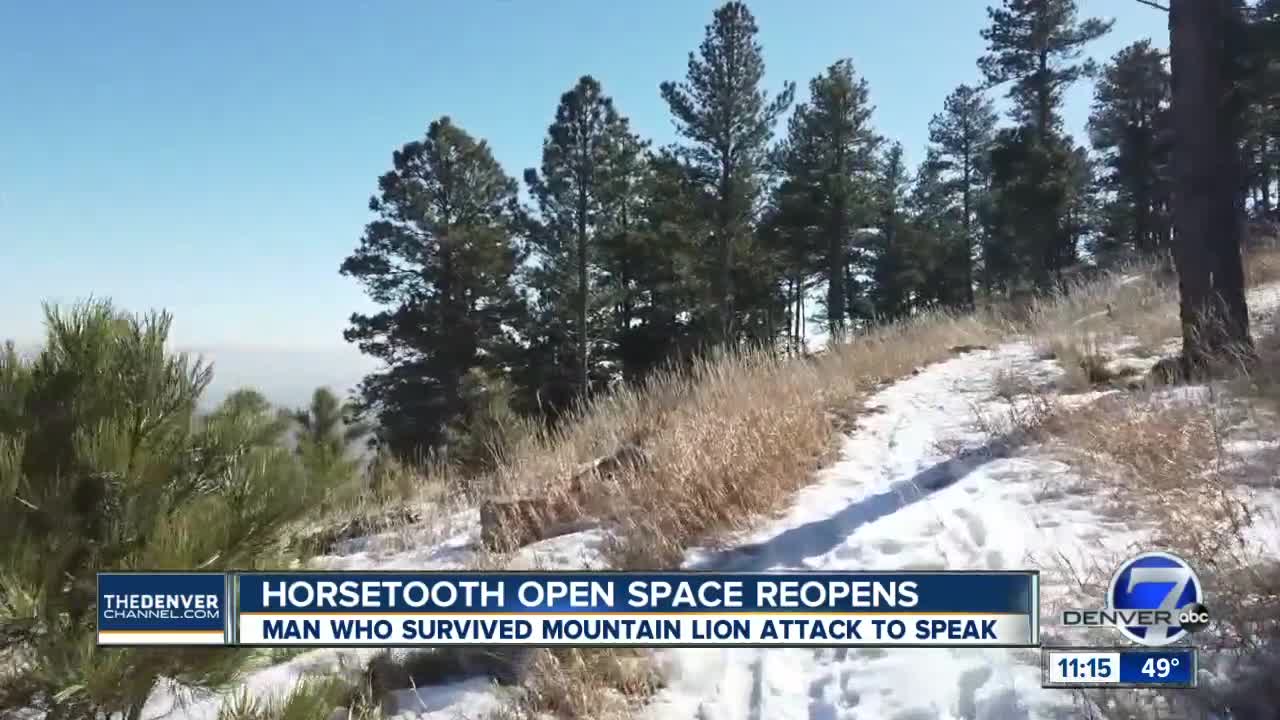 Horsetooth Mountain reopens Wednesday, two juvenile mountain lions found in area captured