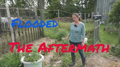 Our Garden after the FLOOD