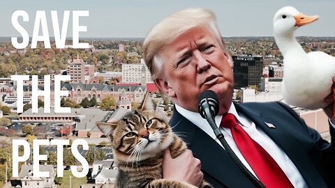 Save The Pets From The Hungry Haitians