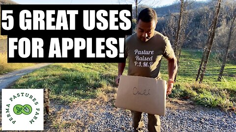 5 Permaculture Uses For Apples