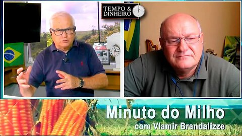 Milho já tem perdas acima de 1 milhão de toneladas