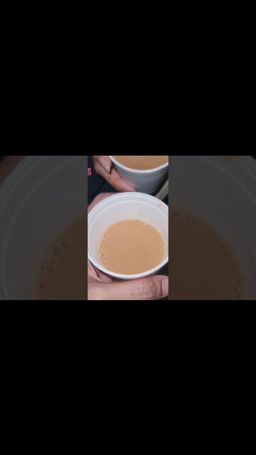 hot tea #monitorlizard #thereptarium