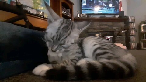Letty licking herself