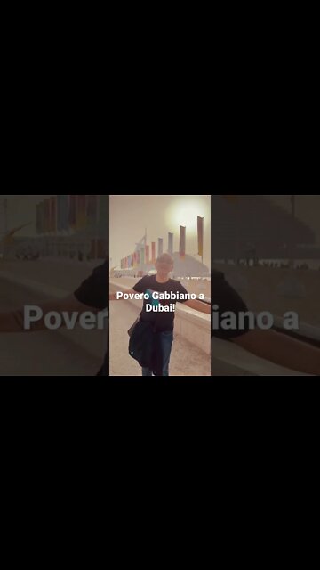 Povero Gabbiano a Dubai!