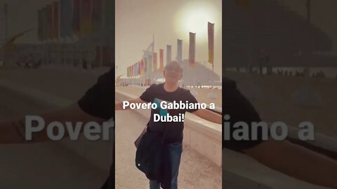 Povero Gabbiano a Dubai!