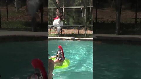 Jesus Tries A Cannonball