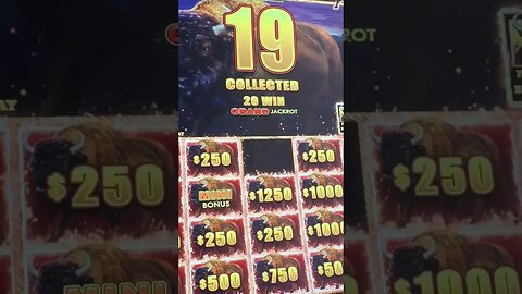 BIGGEST BUFFALO JACKPOT OF MY LIFE #gambling #CASINO #slots