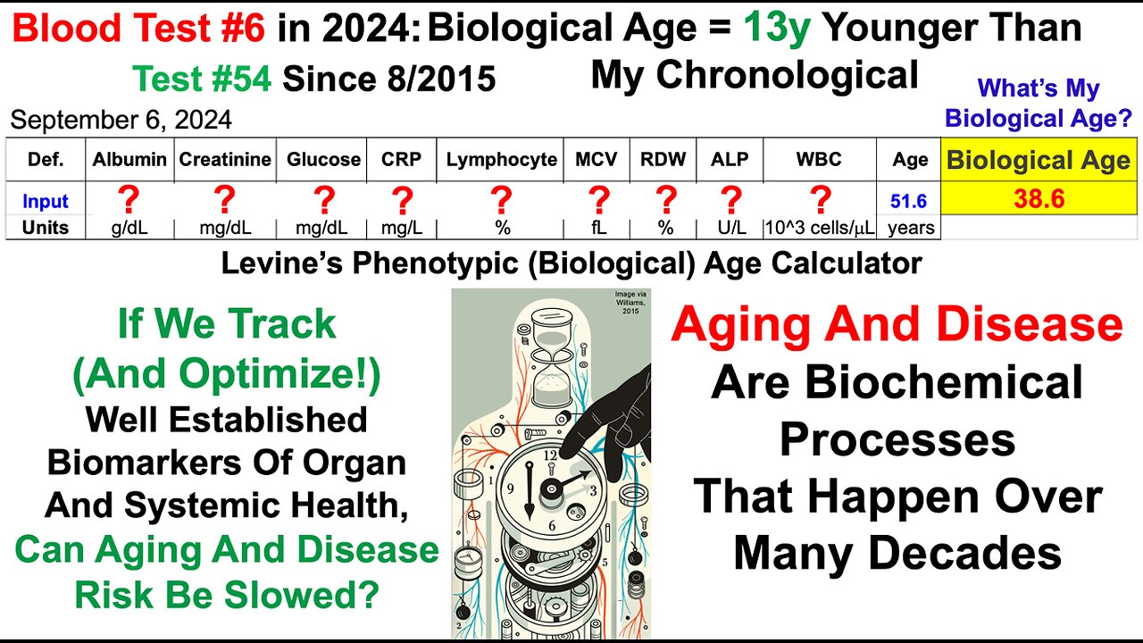 13y Younger Biological Age (Blood Test #6 in 2024; Test #54 Since 2015)