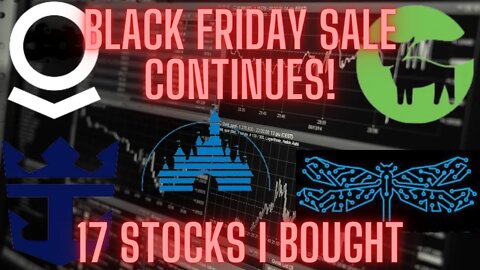 17 Stocks I Bought Today (12/3/2021).....Black Friday Sale Continues!