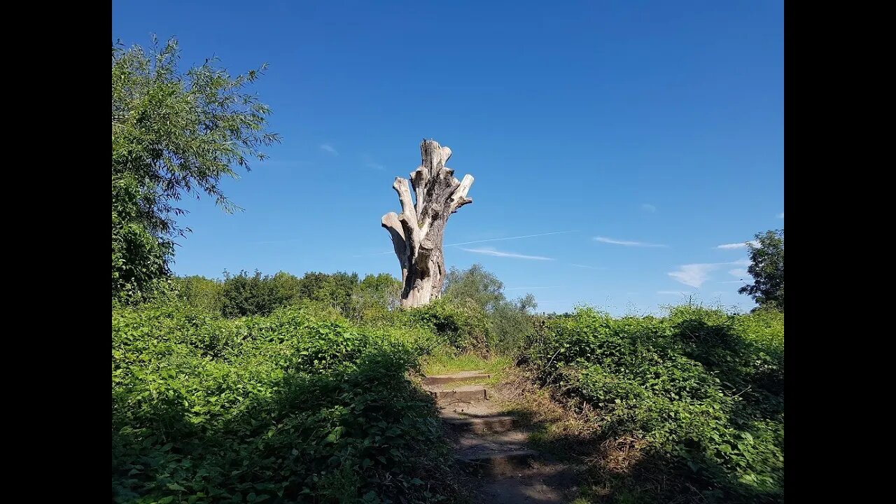 MAGNETIX ELECTRIX : WHITLINGHAM COUNTRY PARK NORWICH