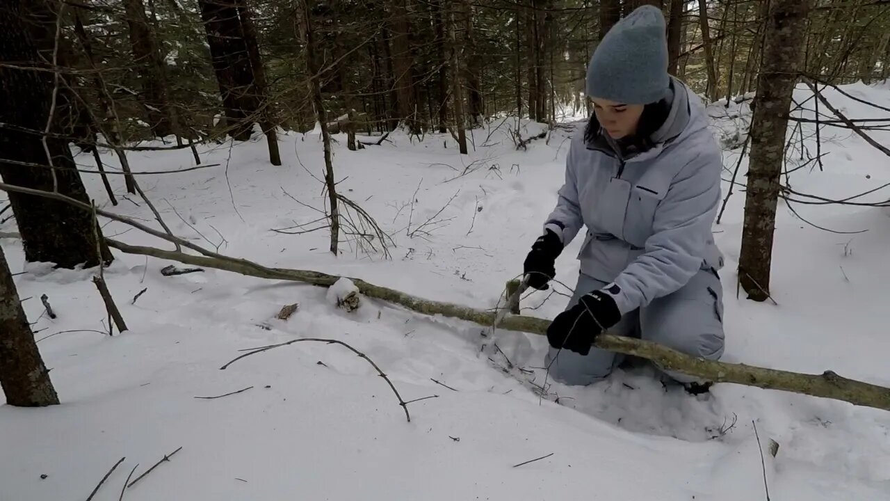 Winter Bushcraft: Camping with my Husky (-20⁰C)-18