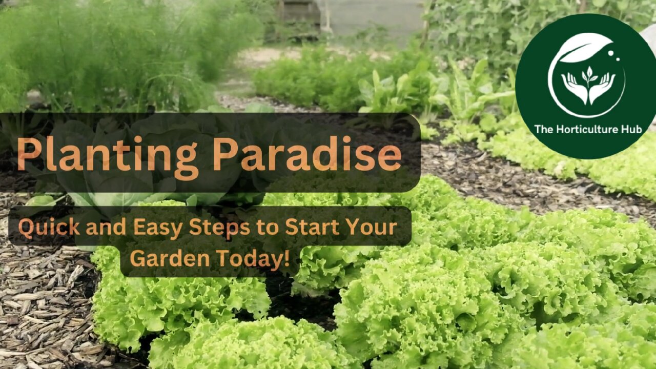 Planting Paradise: Quick And Easy Steps to Start Your Garden Today.