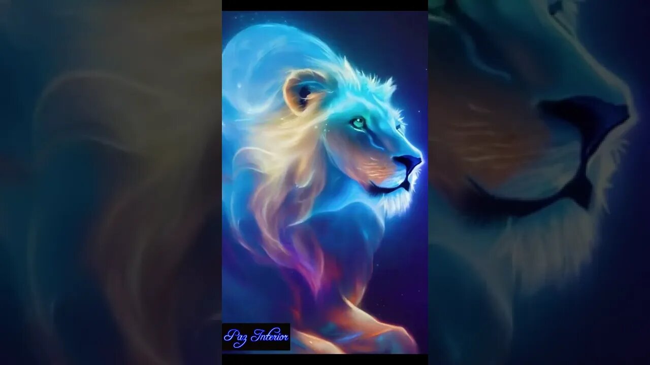 ♥ Melhores vídeos ♥ Best videos ♥ imagens ♥ incríveis ♥ #shorts ♥