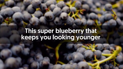 Benefit's of Blueberries …