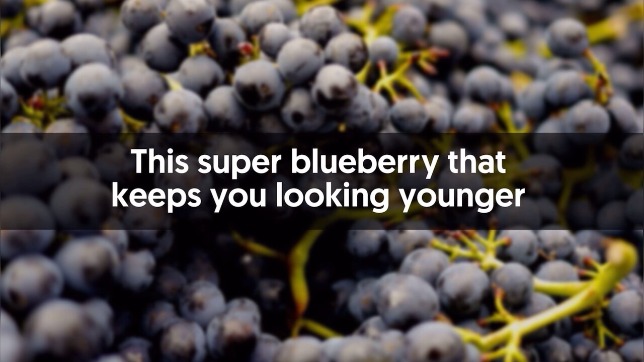 Benefit's of Blueberries …