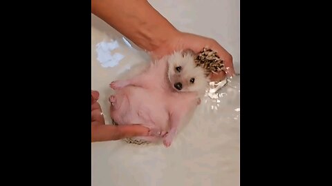 😊