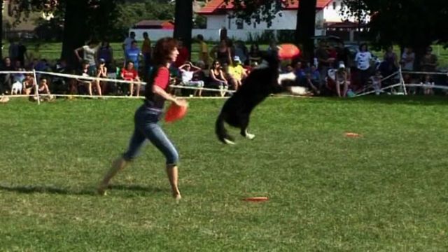 Dog Frisbee Championships