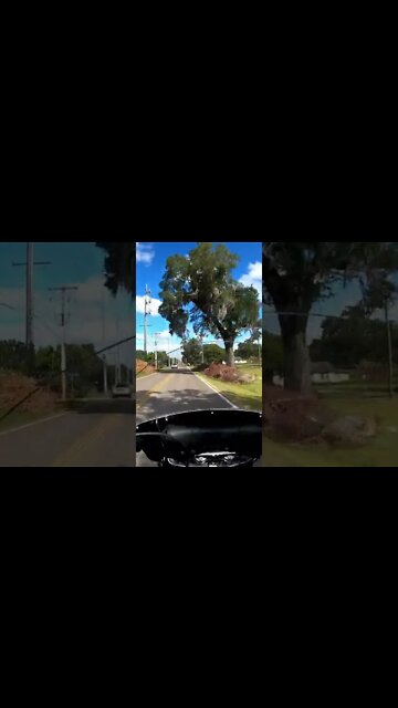 This Harley Davidson Softail Changed my Mind #shorts