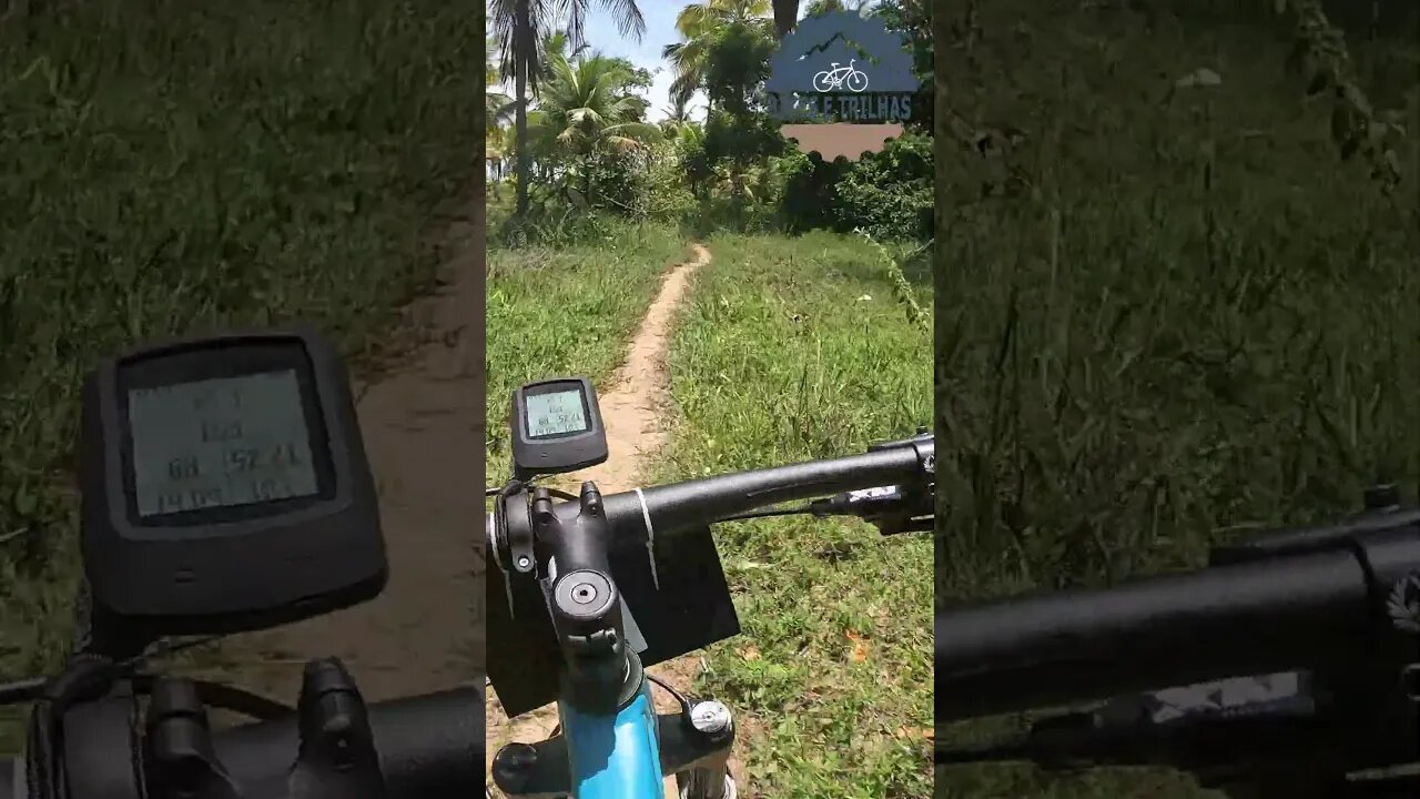 E esse Single Track em Itamaracá - BIKES E TRILHAS #shorts #bike #trilha