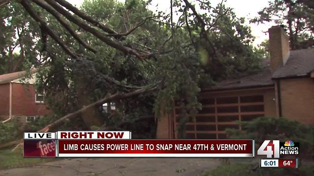 Limb causes power line to snap near 47th and Vermont