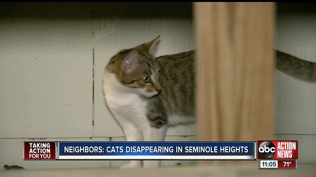 Residents send out warning to Seminole Heights community about missing, dead pets