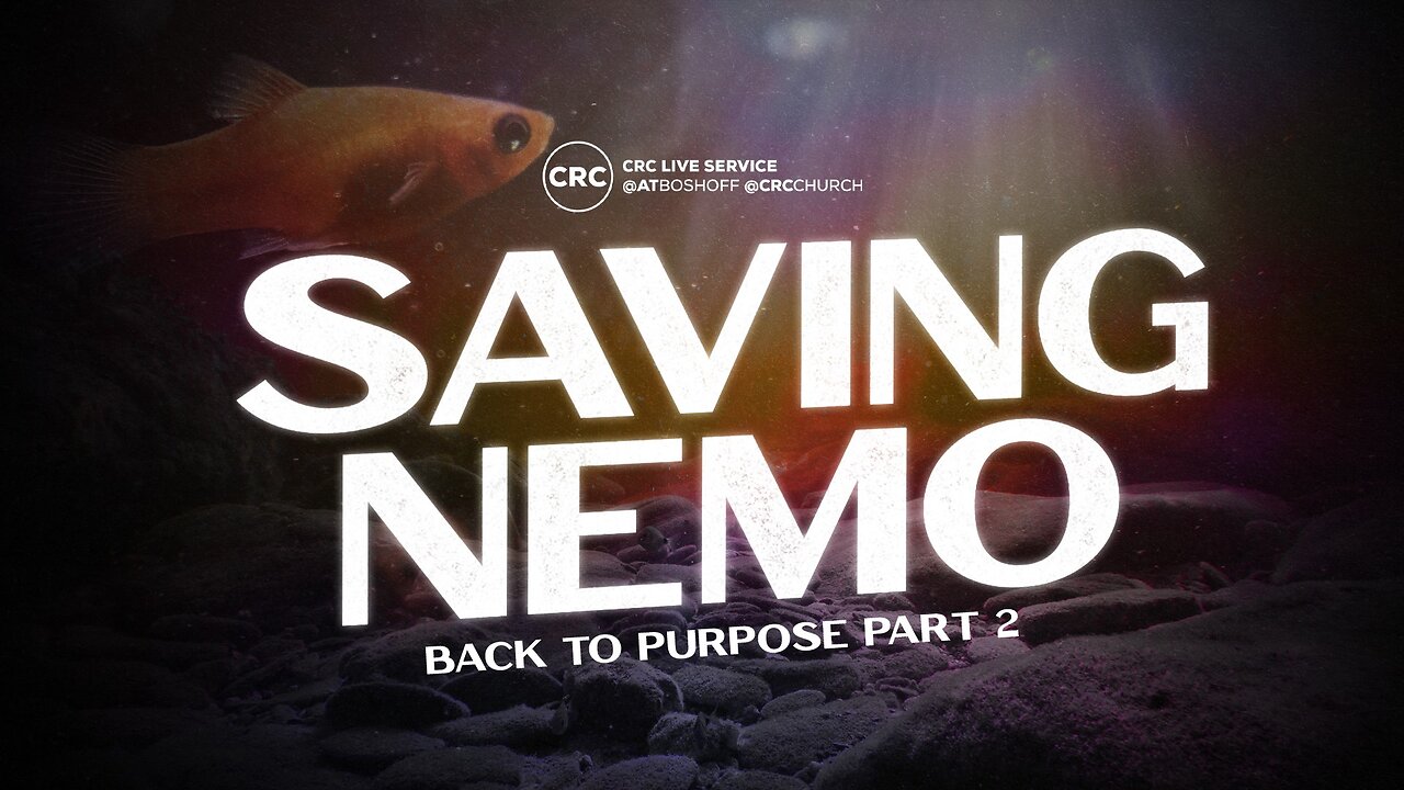 Saving Nemo | Pastor At Boshoff | 11 August 2024 PM