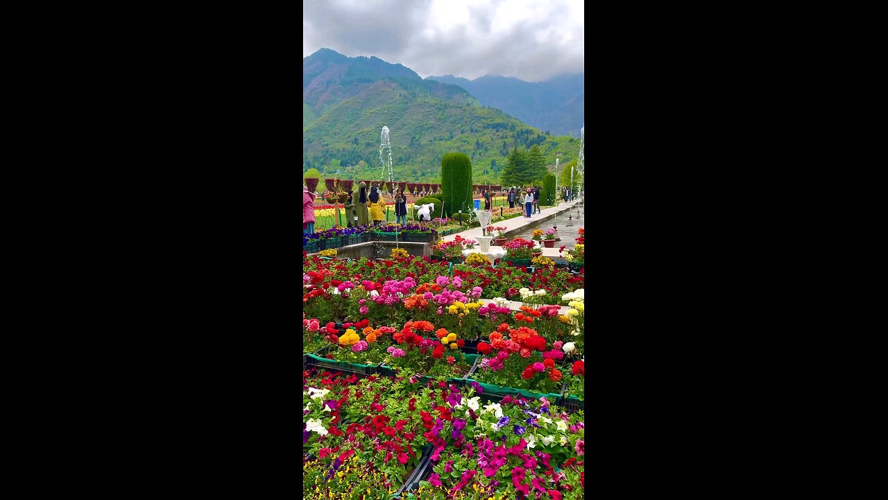 Explore Kashmir.