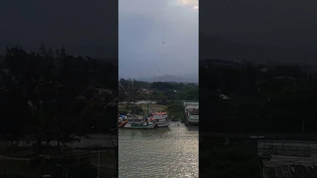 QUANDO CHEGA UMA EMBARCAÇÃO ELES SABEM, A HORA É DE PESCAR.🇧🇷