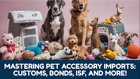 Unlocking Success: Navigating the Customs Maze for Pet Accessories Importation