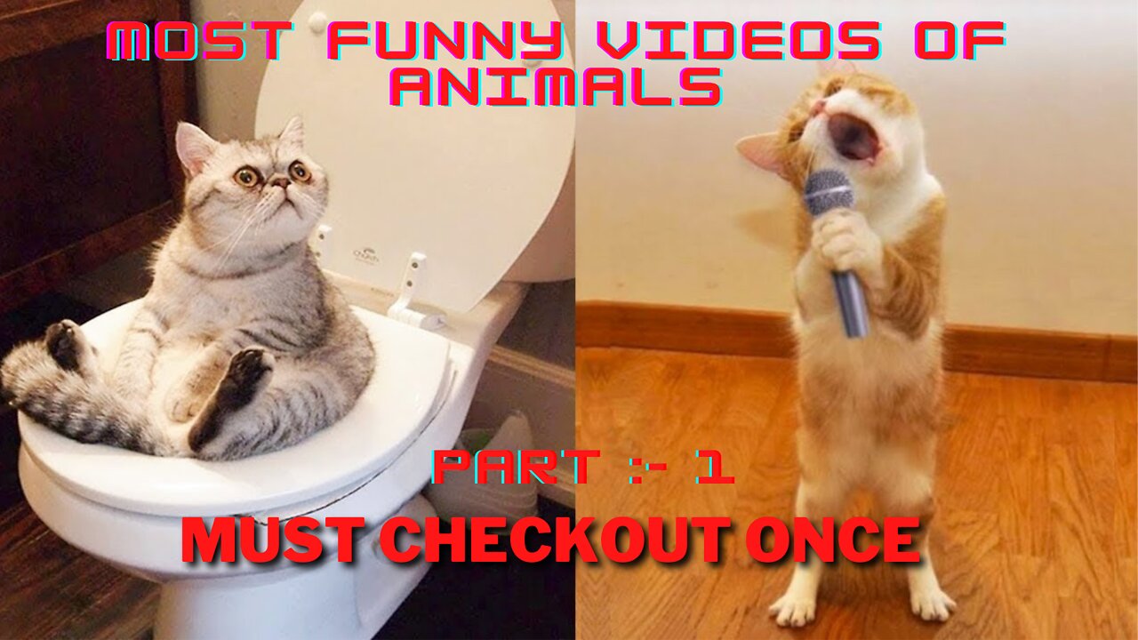 MOST FUNNY ANIMAL VIDEO { PART :- 1 }