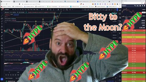Hilarious Crypto Bitcoin Streamer 