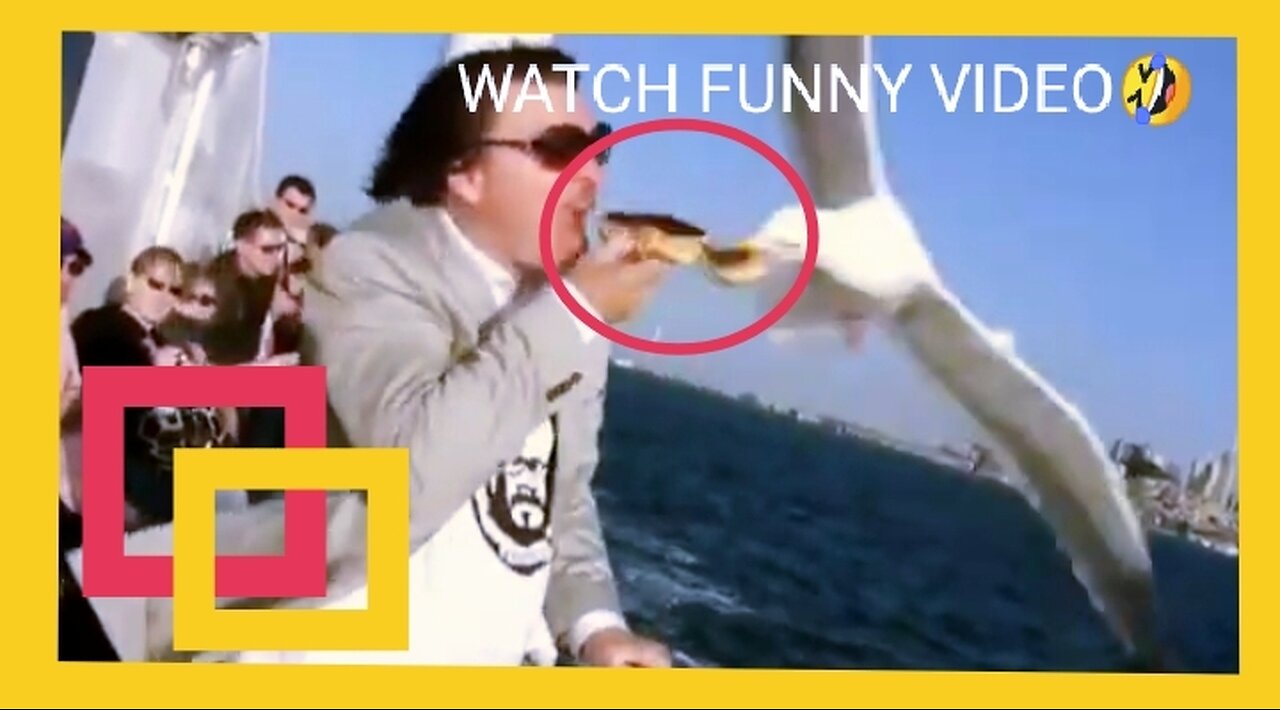 AWESOME VIDS PART 2 #FUNNY 🤣🤣😂😂