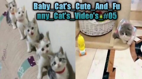 Baby_Cat's_Cute_And_Funny_Cat's_Video's_#05