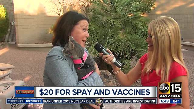 $20 deal for spay and vaccines in the Valley