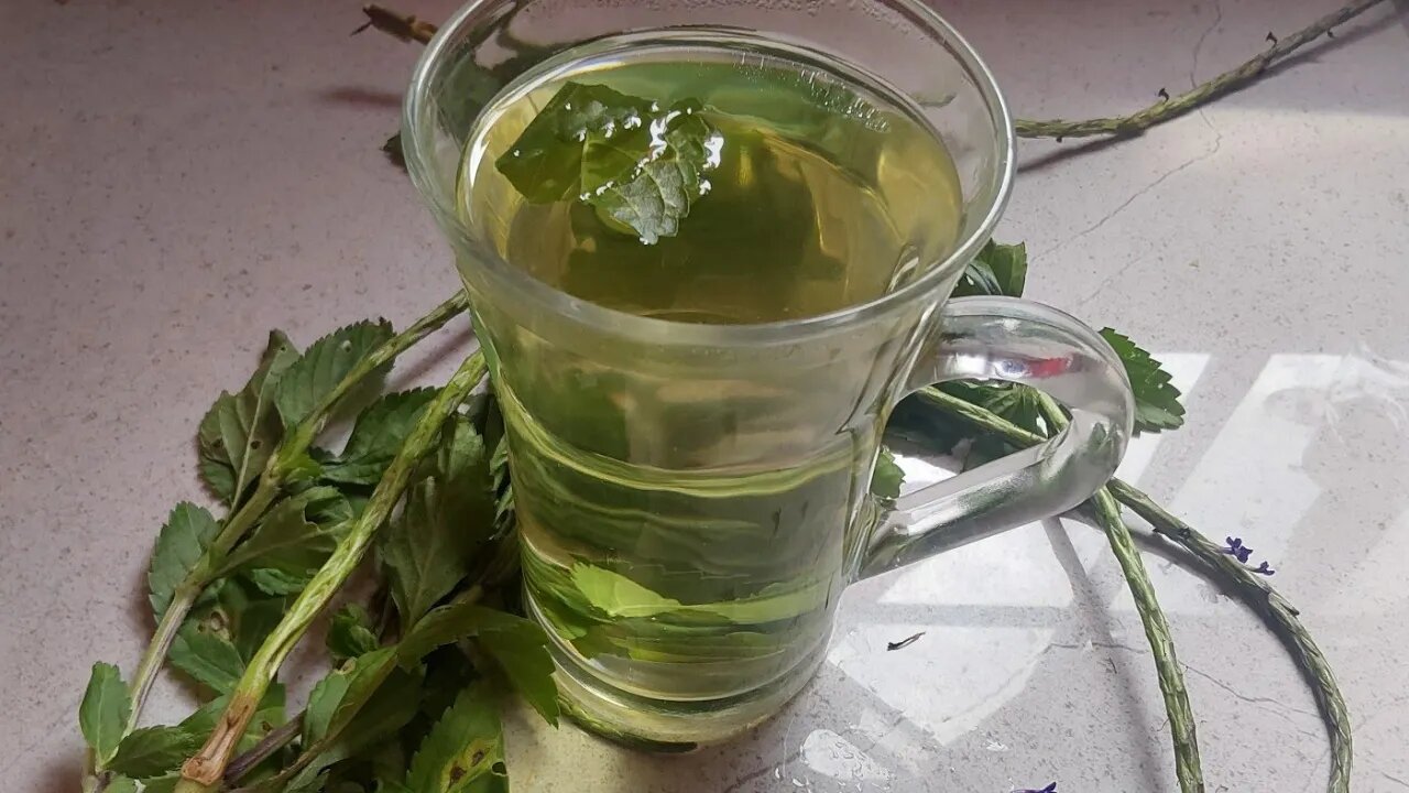 HEALTH BENEFITS OF VERVINE /BLUE VERVAIN TEA...( natural remedies) #2